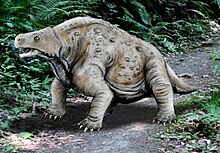 Pareiasaurus serridens.jpg