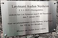 wikimedia_commons=File:Løytnant_Audun_Nesheim.jpg