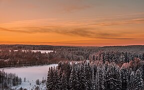 Taïga enneigée près de Syktyvkar.