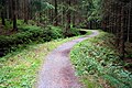 Oberharzer Wasserregal - Dammgraben watercourse