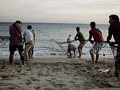 Fishermen in Sesimbra