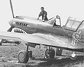 Crew chief indicates a P-40 pilot's scores.