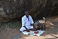 A parrot astrologer sitting beneath a tree