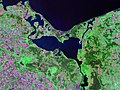 Щецинська затока. Світлина Landsat c. 2000.