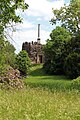 Dessau-Wörlitzer Gartenreich in Sachsen-Anhalt: Wörlitzer Park