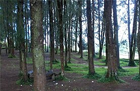 Parque nacional Macarao.