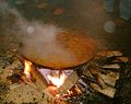 A paella cooked in the street