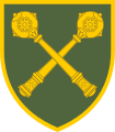 Нарукавный знак различия