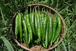 Cheongyang peppers, South Korea