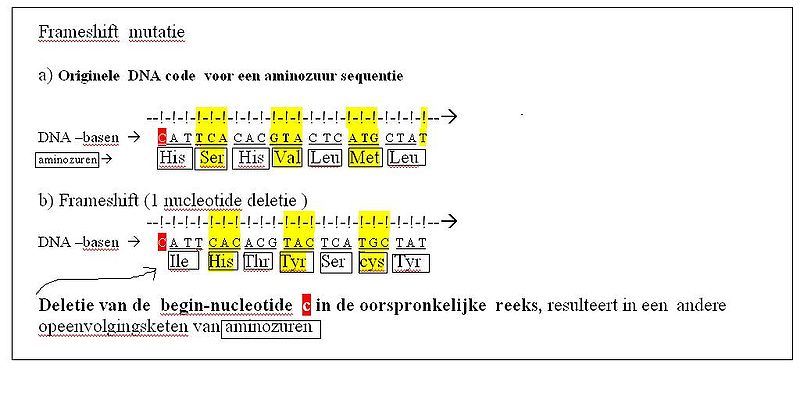 Frameshiftmutatie