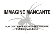 Immagine di Glyptogona mancante