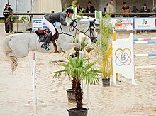 Cheval gris en phase de planer lors d'un saut d'obstacle.