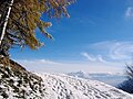 Wanderweg bei Schönwies im Winter