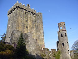 布拉尼城堡（英语：Blarney Castle）