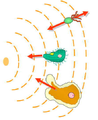 Chemotactic behaviour of prokaryotes and eukaryotes