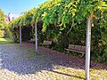 wikimedia_commons=File:Pergola (Deggendorf).jpg