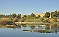 The Nile in Aswan