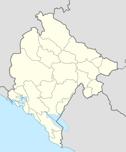 Podgoricai repülőtér (Montenegró)