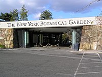 NY Botanical Garden.jpg