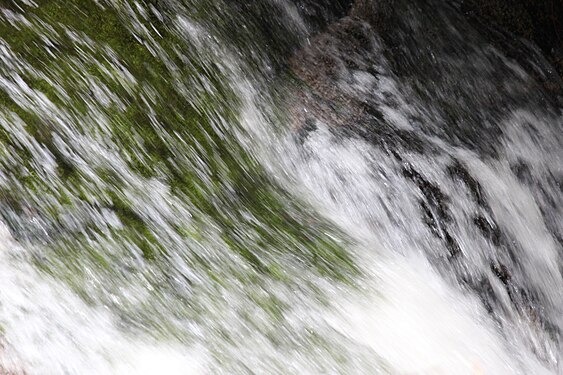 near Noojee, VIC, after rain