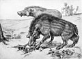 Archaeotherium