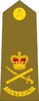 The LTGEN insignia of Crown of St Edward above a crossed sword and baton.