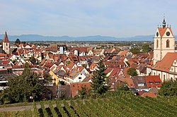 Skyline of Endingen am Kaiserstuhl