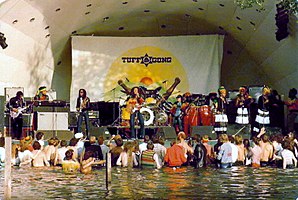 Bob Marley and the Wailers performing in 1980