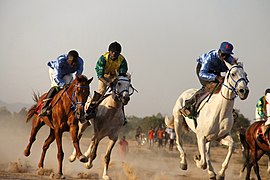 Galop sur du plat (Gashiga, Cameroun)