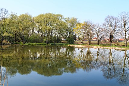 Étang à Dubany.