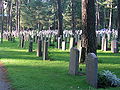 Older part of the cemetery