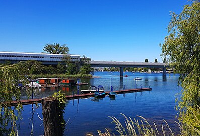 The Old Danube