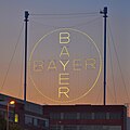 Crux Bayer