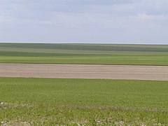 Un paysage typique de la Champagne crayeuse dans le sud du département.