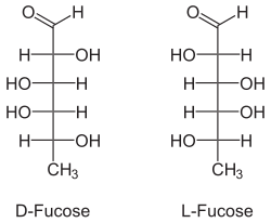 Image illustrative de l’article Fucose