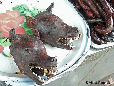 Just yesterday they were barking (Cambodia, 2013) — Tasting strange (from a European point of view) dishes is an important component of cultural travel