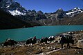 Gokyo