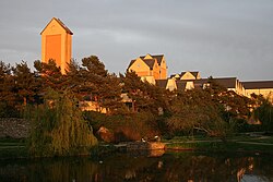 View of the town and of Naas General Hospital