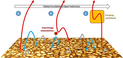 Illustration of global magnetic field circulation enabled by interchange reconnection. In this scenario an open magnetic field line is (A) dragged against a large coronal loop, by global circulation in the corona, (B) undergoes interchange reconnection, and (C) effectively jumps the approximate width of the originally closed loop, launching an S-shaped switchback in the magnetic field into the corona.[3]