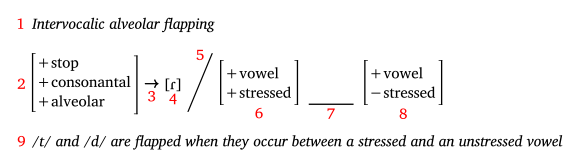 Intervocalic flapping in American English