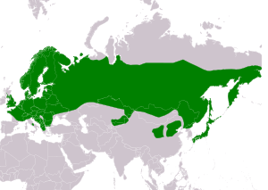 Natura arealo ﻿ Ĉiujare prezencoj