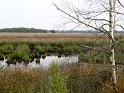 Wierdense Veld (2013)