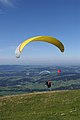 Paragliding Category:Paragliding in Andelsbuch in Andelsbuch