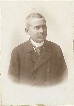 Hamerli János portréja 1894-ben