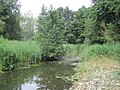 Auenlandschaft am Lüdersdorfer Bach zwischen Nordwestmecklenburg und Lübeck (Schleswig-Holstein).