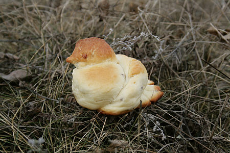 Traditionally Eastern Slavic cookies zhavoronki