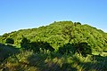 藤井寺市 仲津山古墳（290m）