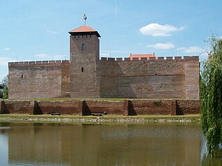 Castle in Gyula