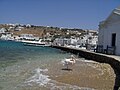 One of the Mykonos pelicans. See en:Petros (pelican).