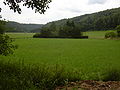 Schwarzbachtal bei Waldfischbach-Burgalben